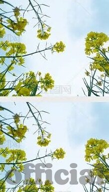 虚拟足球比分赛果-虚拟足球比分赛果，科技与体育的跨界融合新体验